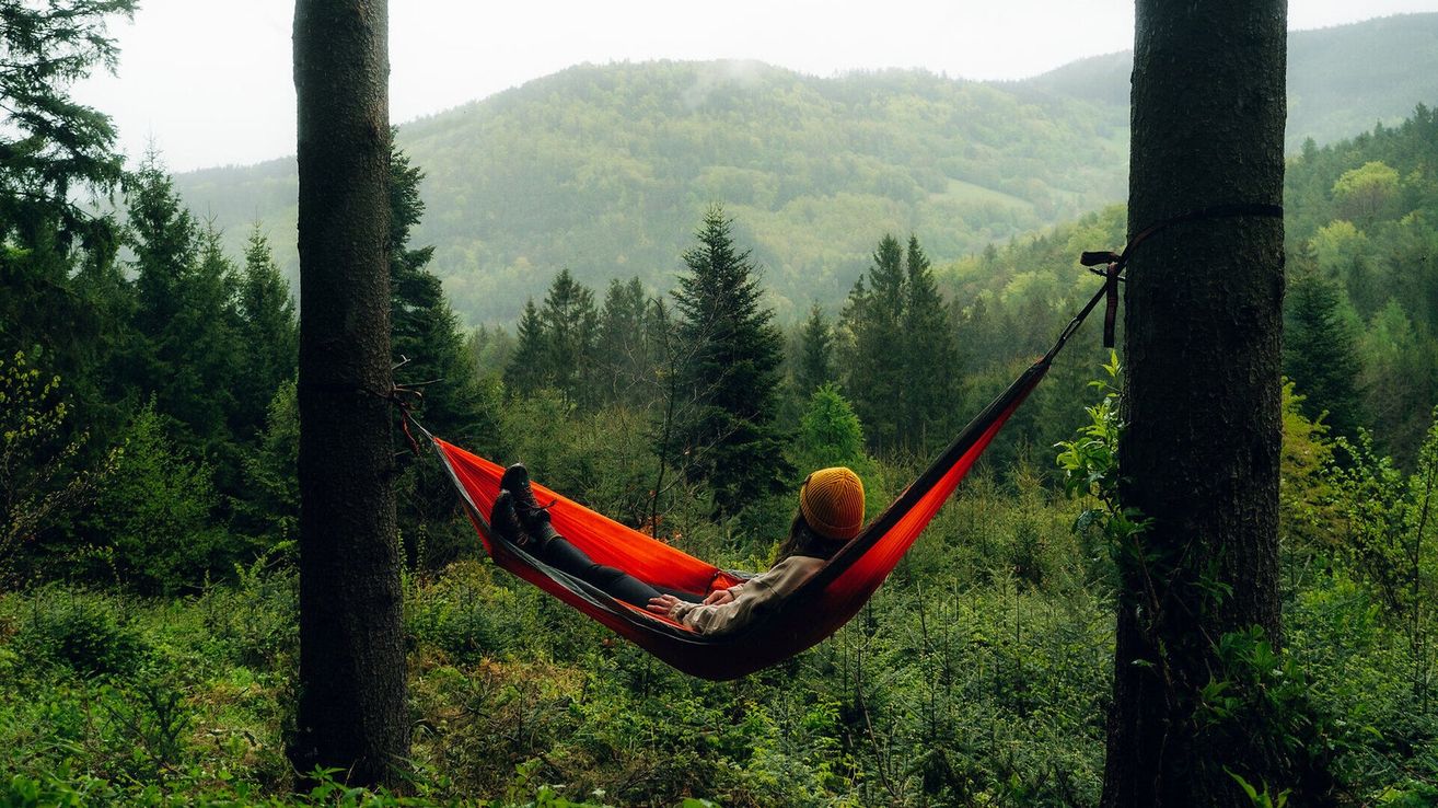 Eine Person mit Mütze entspannt sich in einer Hängematte im Wald mit einem Berghintergrund.