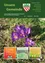Gemeinde-Newsletter-Cover mit grünem Hintergrund, zeigt eine kleine violette Krokusblüte, ein Feldbild und Details wie Datum, Nummer und Kontaktinformationen.