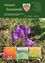 Gemeinde-Newsletter-Cover mit grünem Hintergrund, zeigt eine kleine violette Krokusblüte, ein Feldbild und Details wie Datum, Nummer und Kontaktinformationen.