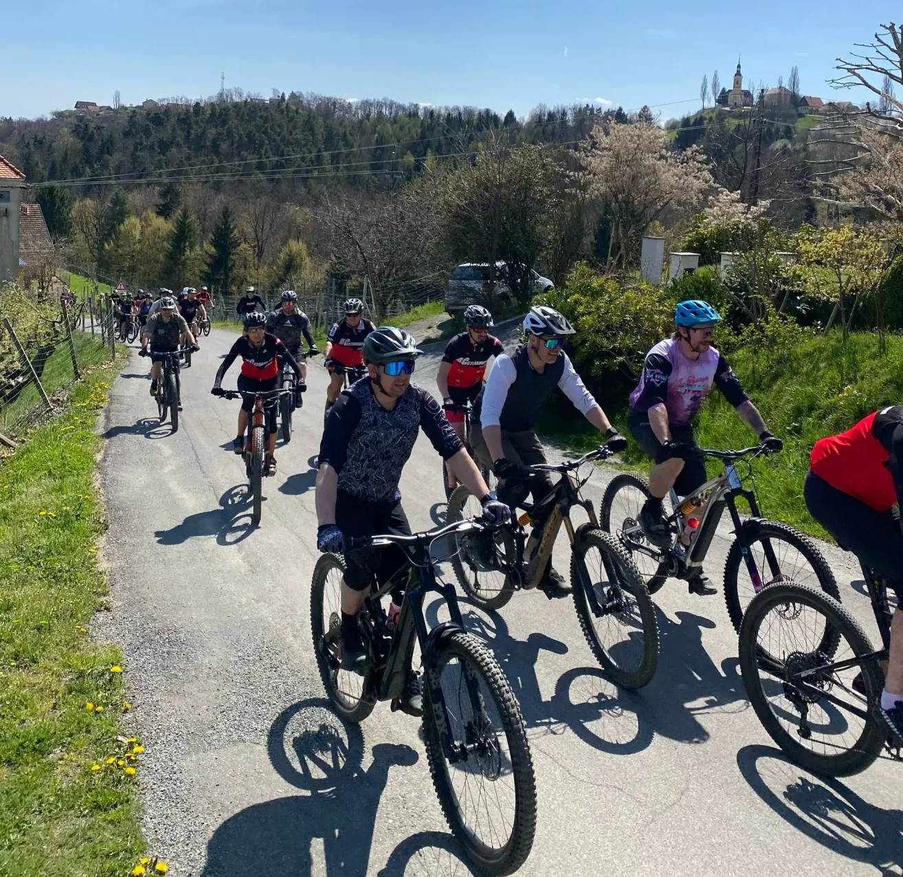 Eine Gruppe von Radfahrern fährt auf einer Straße mit viel Grün und einem Berg im Hintergrund. Sie tragen alle Helme und Fahrradausrüstung. Die Straße ist schattiert und von Gras umgeben.