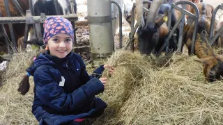 Ein lächelndes Mädchen in einer blauen Jacke füttert Ziegen mit Heu in einer Scheune. Hinter ihr ist eine Kuh durch ein Tor sichtbar.