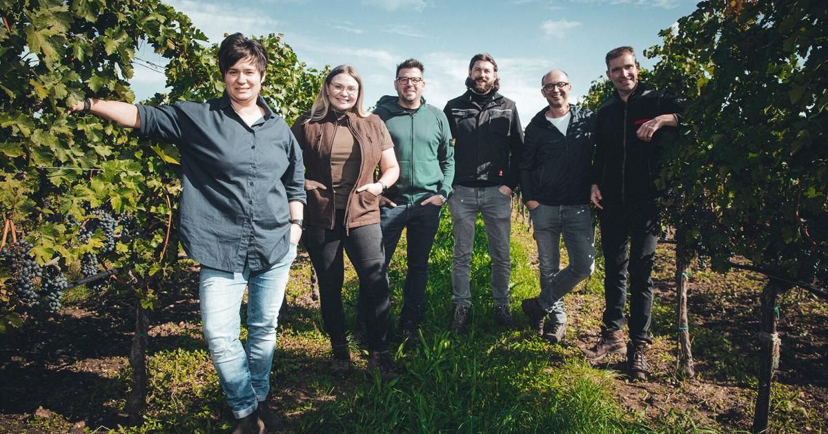 Eine Gruppe von sechs Personen, bestehend aus drei Frauen und drei Männern, steht zusammen in einem Weinberg. Sie alle lächeln und posieren für ein Foto.