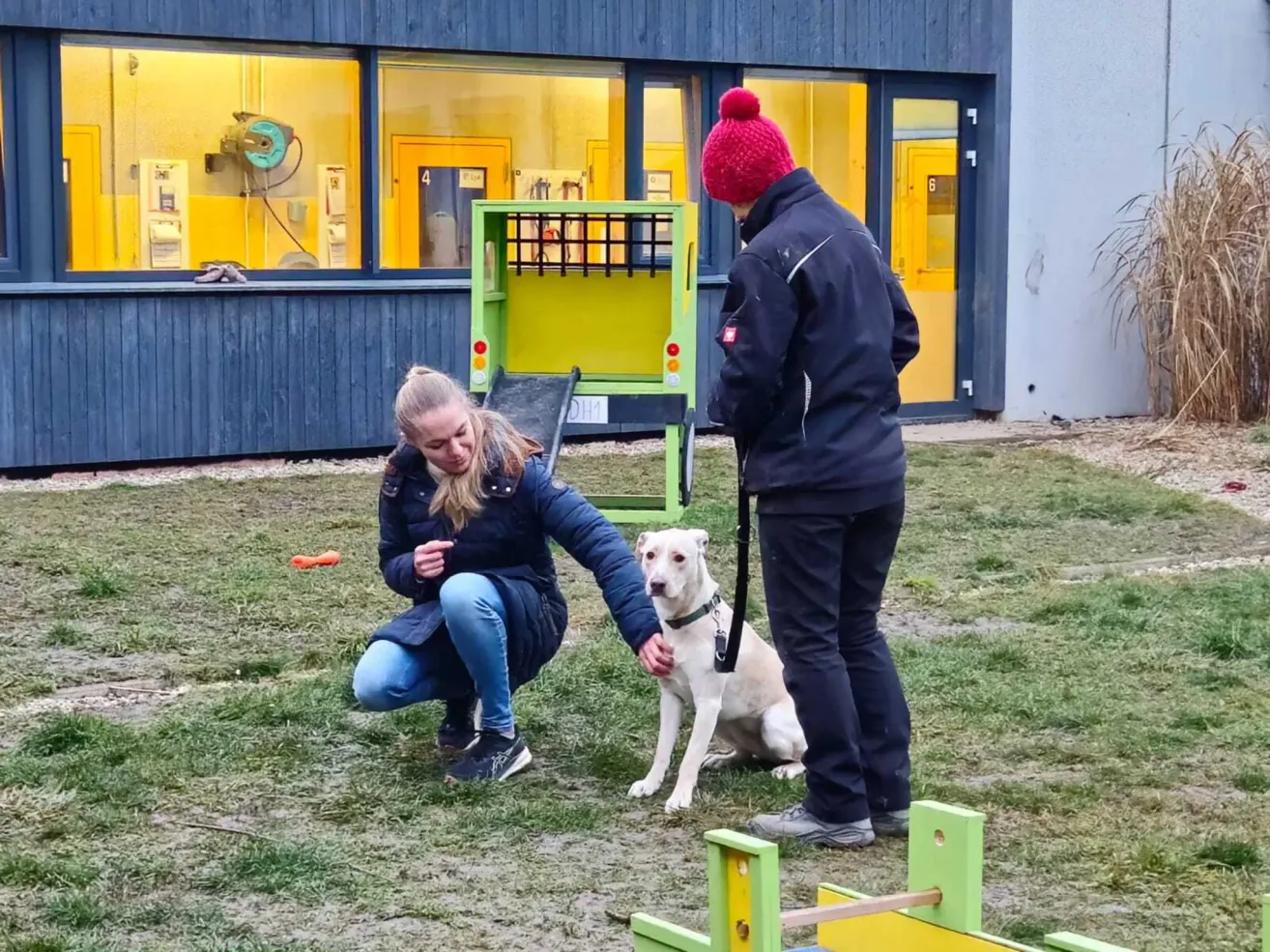 Eine Frau kniet auf Gras und hält die Pfote eines Hundes, ein Mann mit rotem Hut steht neben ihnen, und ein gelbes Gebäude mit Fenstern ist im Hintergrund.