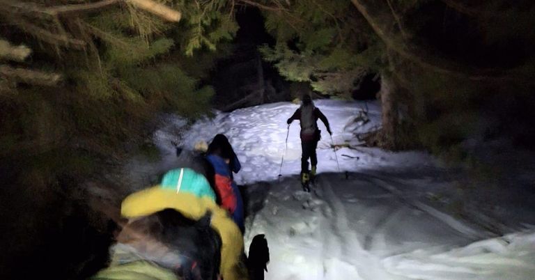 Eine Gruppe von Menschen skifahrern durch einen verschneiten Wald bei Nacht. Eine Person führt den Weg an.