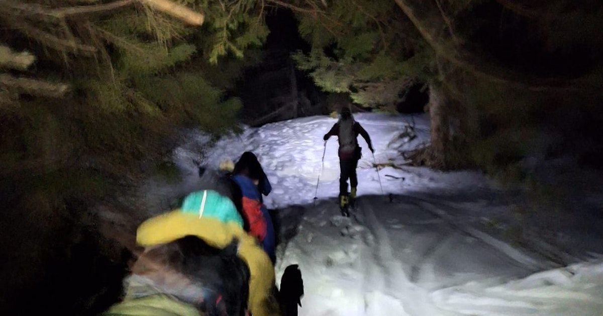 Eine Gruppe von Menschen skifahrern durch einen verschneiten Wald bei Nacht. Eine Person führt den Weg an.