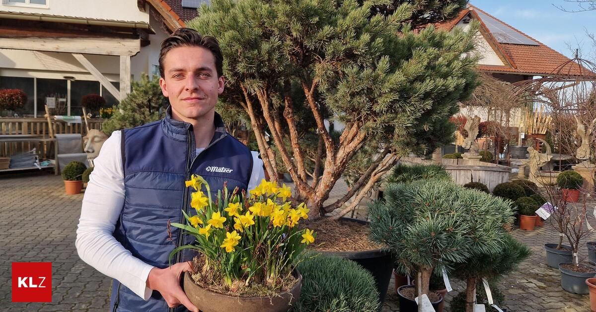 Ein Mann in einer blauen Weste hält einen Topf mit gelben Blumen. Er steht draußen, mit mehreren Bäumen im Hintergrund.