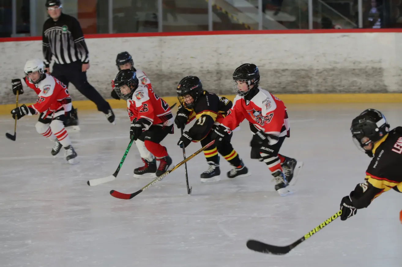 Vier Eishockeyspieler, die Helme und Trikots tragen, sind auf dem Eis. Sie halten Eishockeyschläger und scheinen ein Spiel zu spielen. Die Eisbahn hat eine weiße Barriere an der Seite.