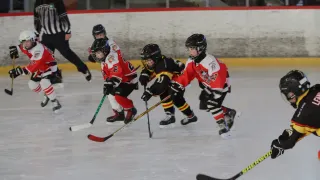 Vier Eishockeyspieler, die Helme und Trikots tragen, sind auf dem Eis. Sie halten Eishockeyschläger und scheinen ein Spiel zu spielen. Die Eisbahn hat eine weiße Barriere an der Seite.
