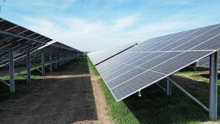 Ein Solarpark mit mehreren Reihen von Solarmodulen, geneigt und auf Metallkonstruktionen montiert, mit Gras und Erde zwischen den Reihen.