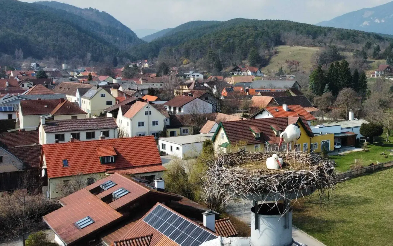Auf einem Haus sitzen zwei Störche in einem Nest. Darunter befinden sich Häuser mit Solarmodulen in einem Dorf mit Bergen in der Ferne.