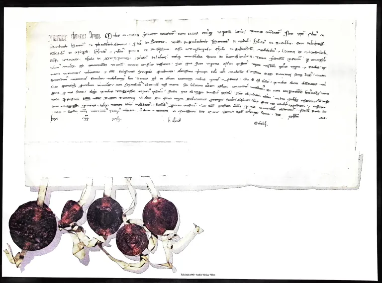 Ein Dokument enthält handgeschriebenen Text mit einer Zeichnung von Rote Bete. Der Text ist schwer zu lesen, scheint aber Aspekte der Rote-Bete-Zucht und des Wachstums zu diskutieren.