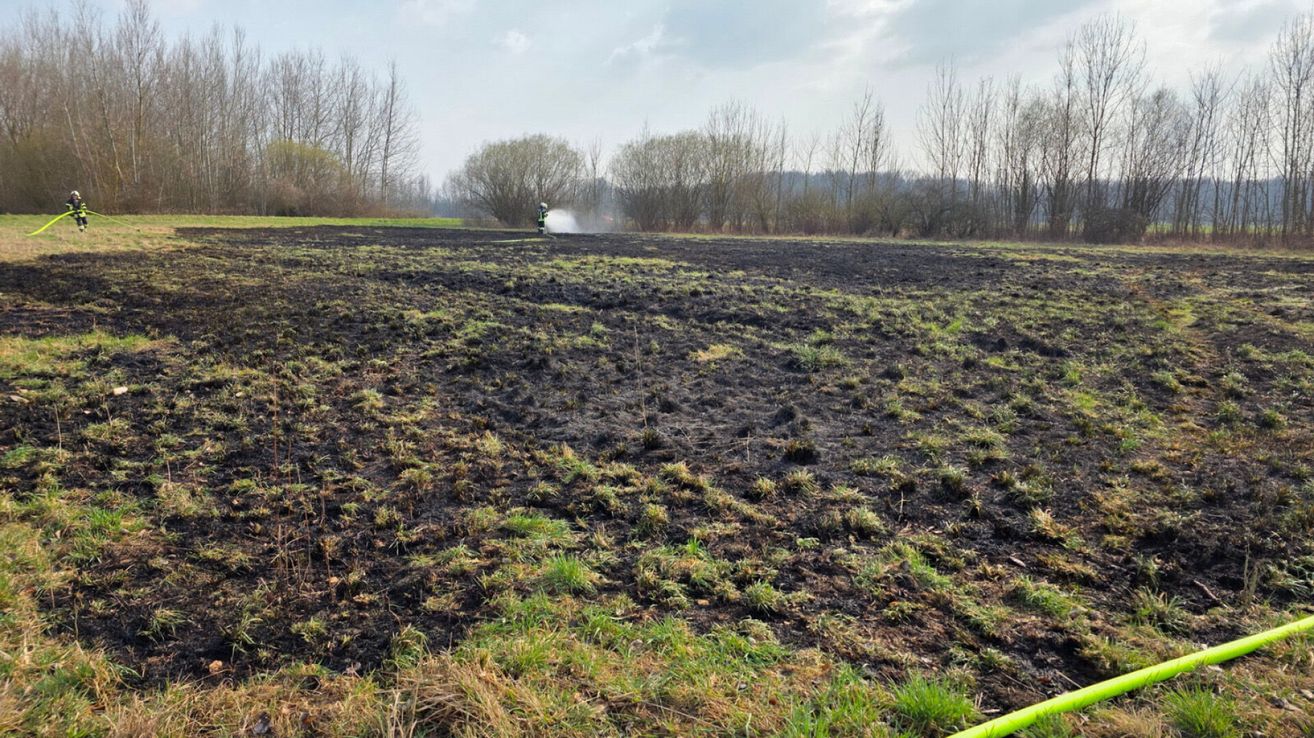 Eine Person in einer grünen Sicherheitskleidung sprüht Wasser aus einem Schlauch auf ein verbranntes Feld mit spärlicher Vegetation und Bäumen im Hintergrund.