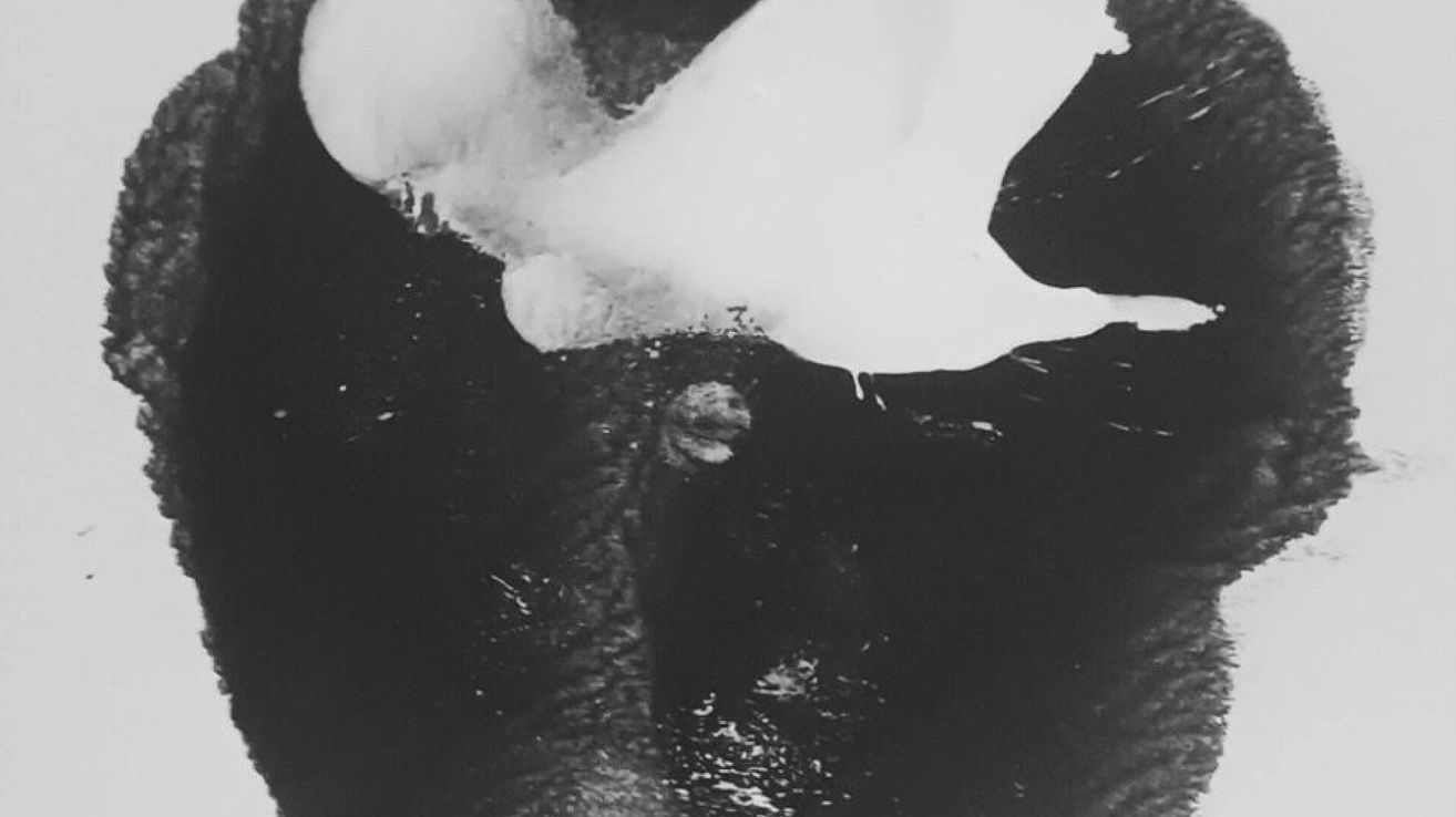 Ein Schwarz-Weiß-Bild zeigt ein Objekt, das im Wasser schwimmt, möglicherweise ein Eisberg, mit Spritzern darum herum.