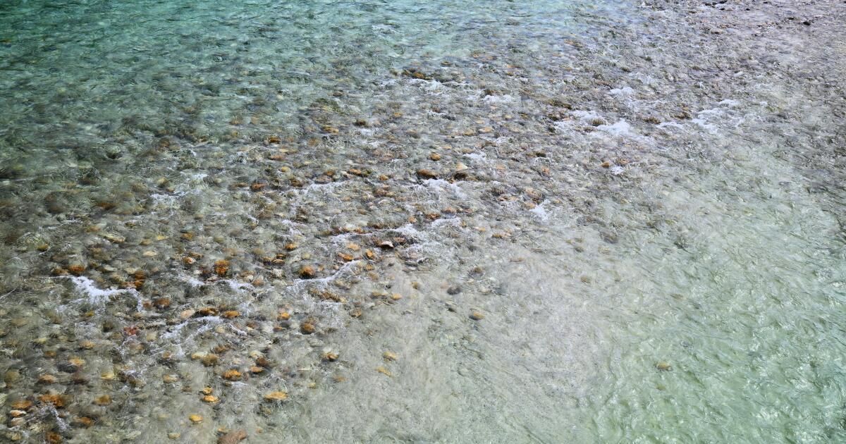Ein Blick auf klares, flaches Wasser mit kleinen Steinen und Kieseln, die am Boden sichtbar sind.