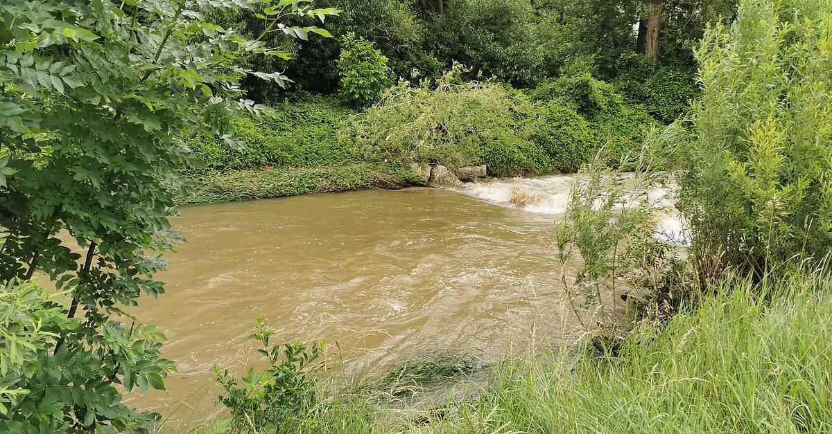 Ein Fluss mit bräunlichem Wasser fließt schnell, umgeben von dichter Vegetation und einigen umgestürzten Ästen.