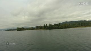 Ein ruhiger See, umgeben von Bäumen und Bergen unter einem bewölkten Himmel. Das Wasser ist ruhig und spiegelt den Himmel wider.