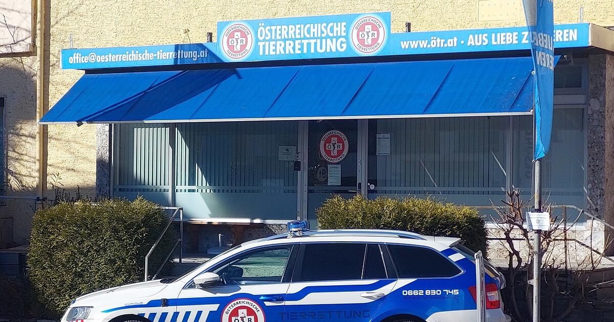 Ein Polizeiauto ist vor einem Gebäude mit dem Schild 'Osterreichische Tierrettung' an einem blauen Vordach geparkt. Das Gebäude hat eine Glastür mit einem Logo.