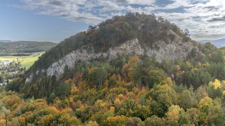 A mountain with a rocky cliff and a forest in autumn. Trees with yellow, orange, and green leaves cover the mountain.