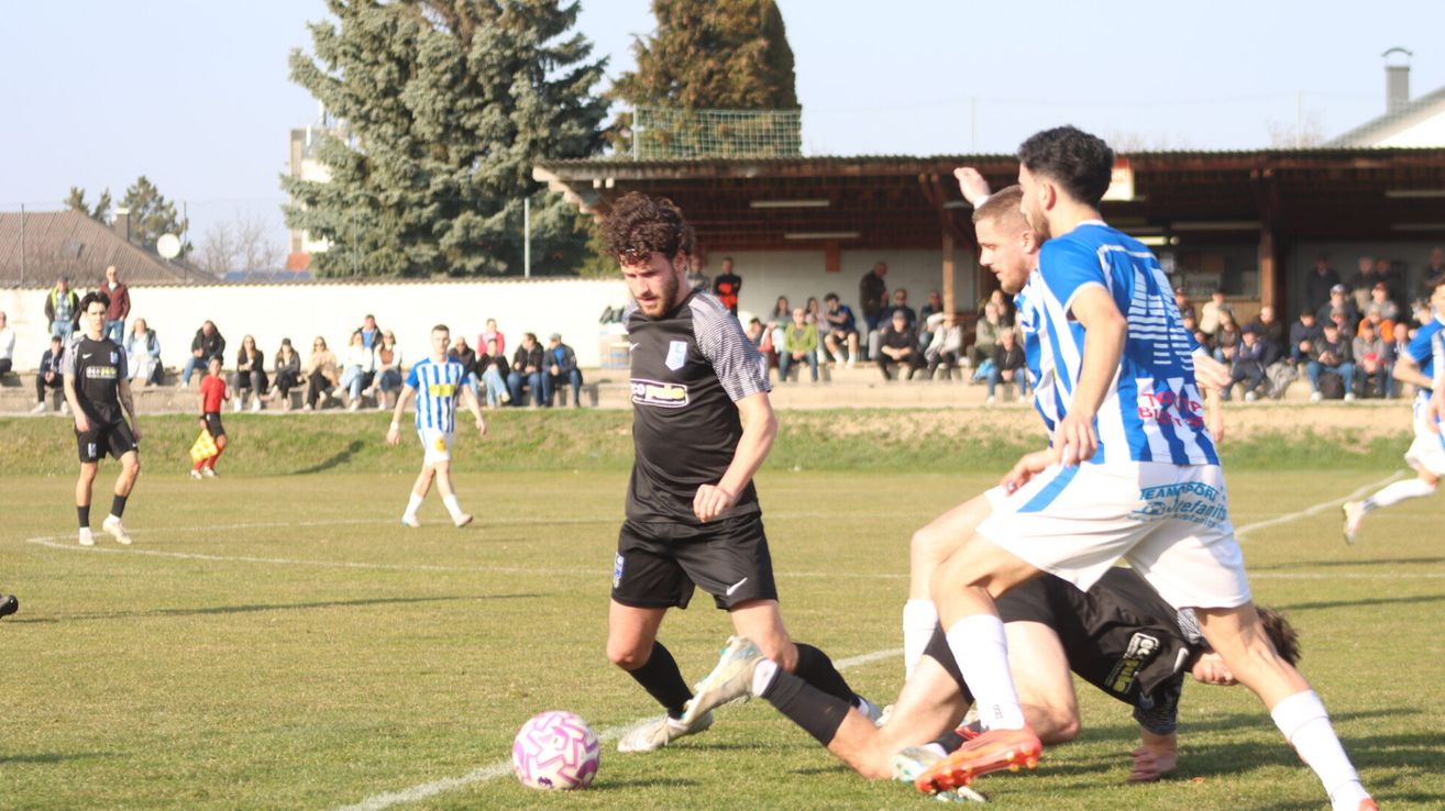 A soccer match with players on the field, one in black and white chasing a pink soccer ball, while others in blue and white defend him. Spectators watch from the bleachers.