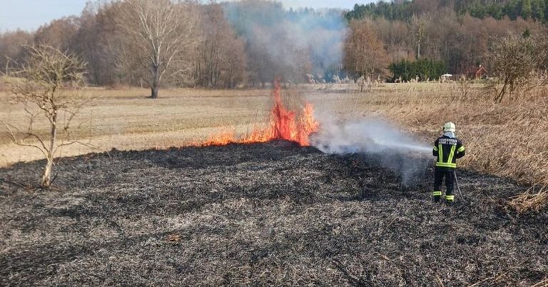 Ein Feuerwehrmann in einem gelben Uniform sprüht Wasser aus einem Schlauch, um ein Feuer in einem Feld mit Bäumen im Hintergrund zu löschen.