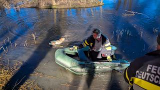 A man in a yellow and black jacket is in a green boat holding a dog on a leash. The dog is swimming in a river.
