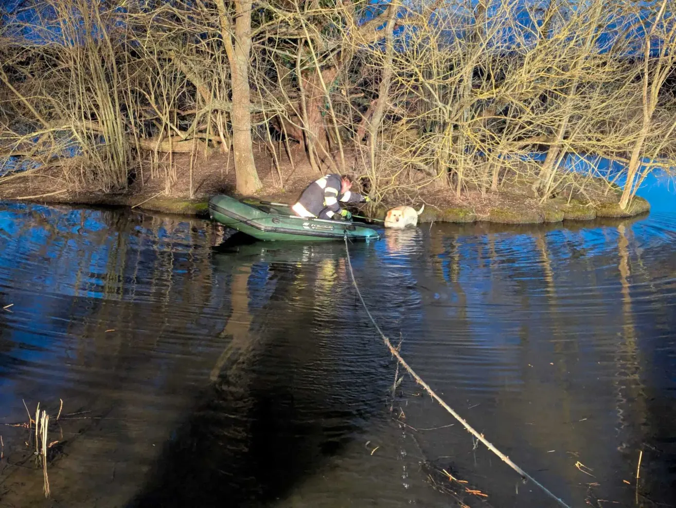 A man in a green boat with a dog is on the lake, pulling the dog out of the water.