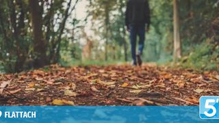 Eine Person geht auf einem bewaldeten Pfad, umgeben von gefallenen Blättern. Der Hintergrund ist verschwommen mit grünen Bäumen und Laub.