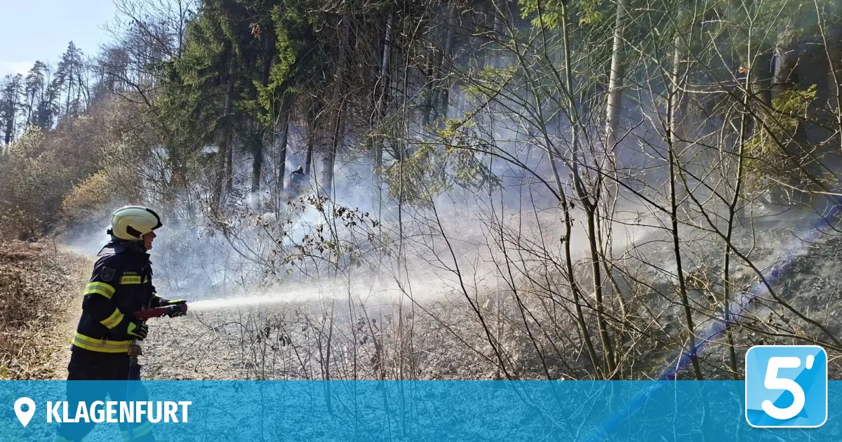 Ein Feuerwehrwagen sprüht Wasser in einem Waldgebiet. Die Bäume sind blattlos, und Rauch steigt vom Boden auf. Der Himmel ist klar.