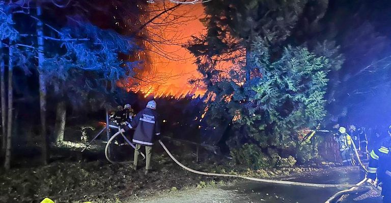 Feuerwehrleute in Uniform bekämpfen in der Nacht einen Waldbrand, wobei Flammen und Rauch die Bäume umhüllen.