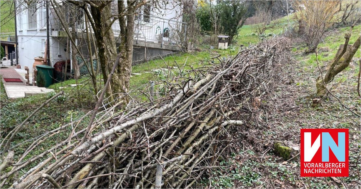 Ein Haufen geschnittener Äste liegt auf dem Boden neben einem Haus mit Metallzaun und einem kleinen Holzschuppen.