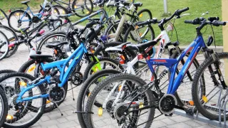 Many bicycles are parked on a paved surface with grass and a pole in the background. The bicycles vary in color, size, and style, and some have water bottles attached.