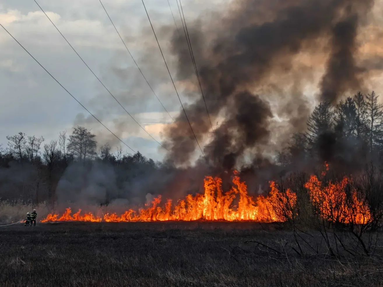Ein großes Waldfeuer brennt durch ein Feld mit hohen Stromleitungen und einem rauchigen Himmel.