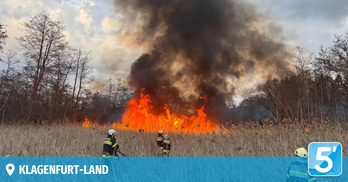 Drei Feuerwehrleute bekämpfen einen großen Waldbrand in einem Feld, umgeben von trockenem Gras und Bäumen.