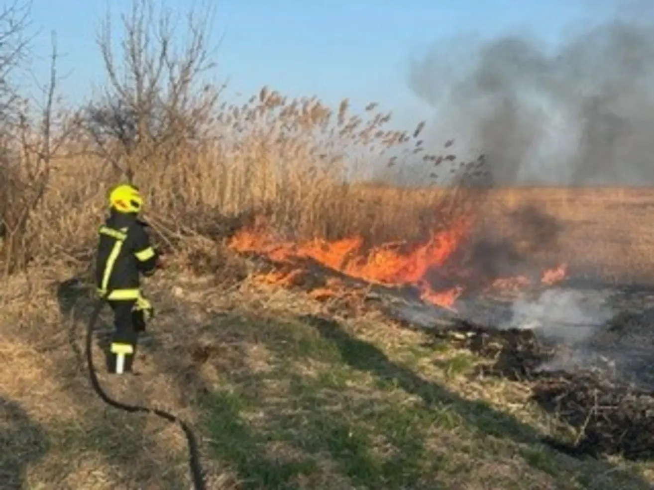 Ein Feuerwehrmann steht in der Nähe eines brennenden Feldes und hält einen Schlauch. Das Feuer breitet sich aus, wobei Rauch in den Himmel aufsteigt.