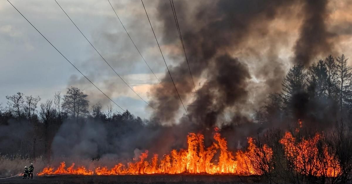 Ein Waldbrand durchzieht ein Feld mit Stromleitungen darüber, wobei dichter Rauch und Flammen entstehen. Bäume umgeben das Gebiet.