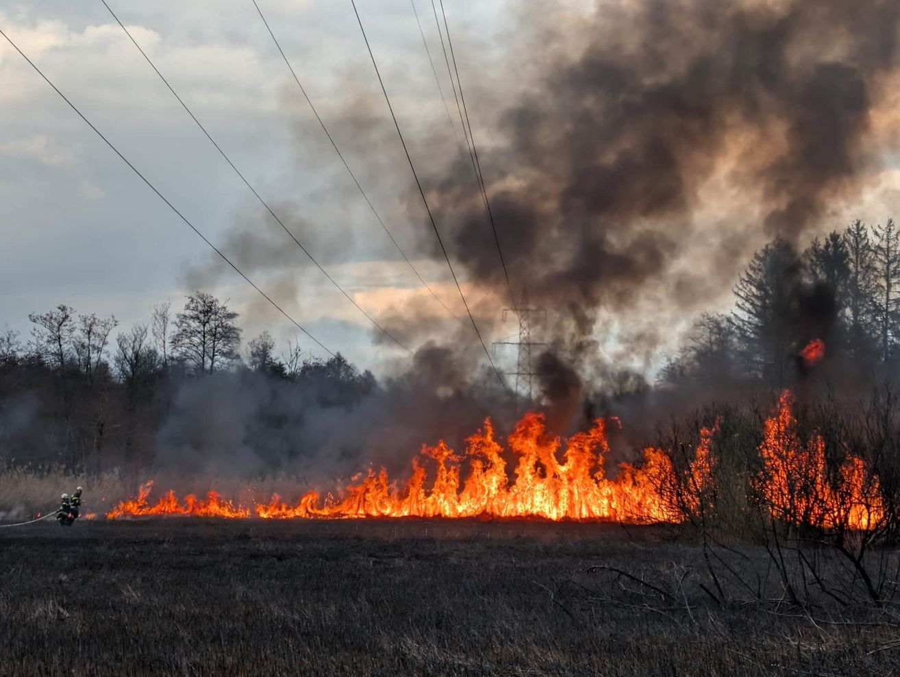 Ein Waldbrand brennt ein Feld und sendet dicken Rauch auf. Im Hintergrund befinden sich Stromleitungen und Bäume.