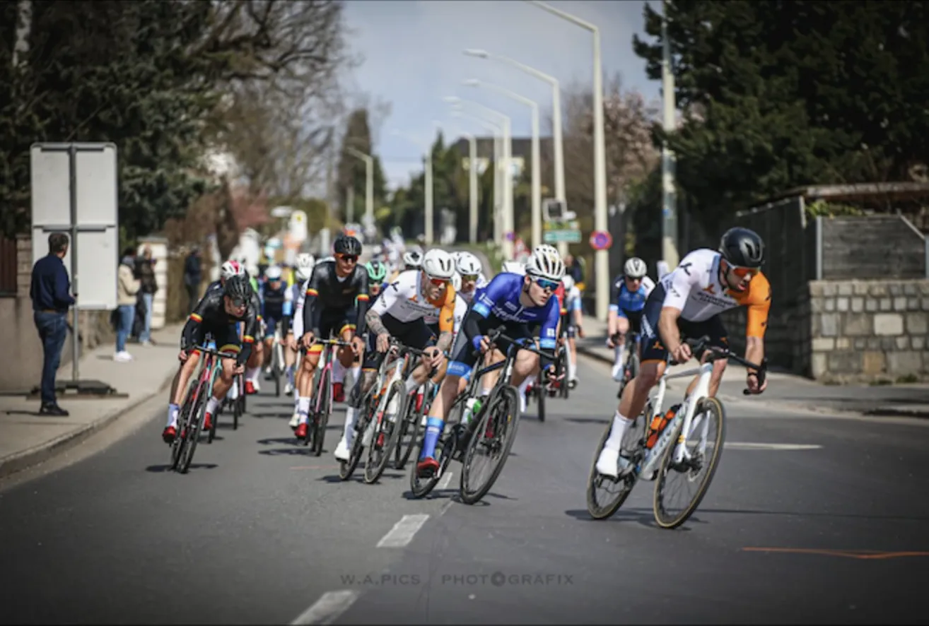 A group of cyclists in helmets and cycling gear compete on a road with white markings, trees, and streetlights on either side.