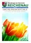 Titelbild des April 2026 Magazins mit leuchtenden Tulpen, betitelt 'Fruhlingsgefuhle', und dem Spruch 'Lasse dich von der Sonne kuessen!'