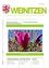 April 2025 Ausgabe der Gemeindemitteilung Weinitzen. Zeigt eine pinke Blume und die Nachricht 'Frohe Ostern.' Enthält Gemeindeankündigungen und Informationen.