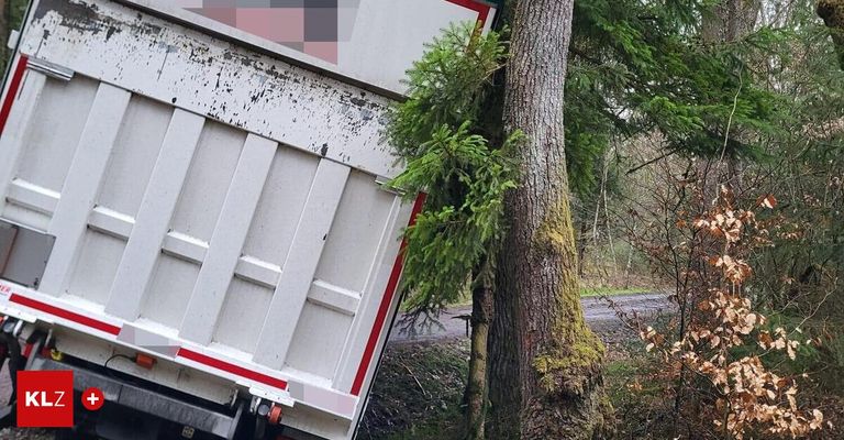 Ein umgekippter LKW mit einem roten Streifen an der Seite steckt in einem Baum fest. Der LKW befindet sich auf einer unbefestigten Straße mit Bäumen auf beiden Seiten.