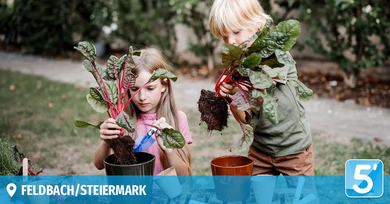 Two children are planting beetroot in a garden, with one using a tool to dig and the other holding a plant. They are in a grassy area with a wooden table and cups nearby.