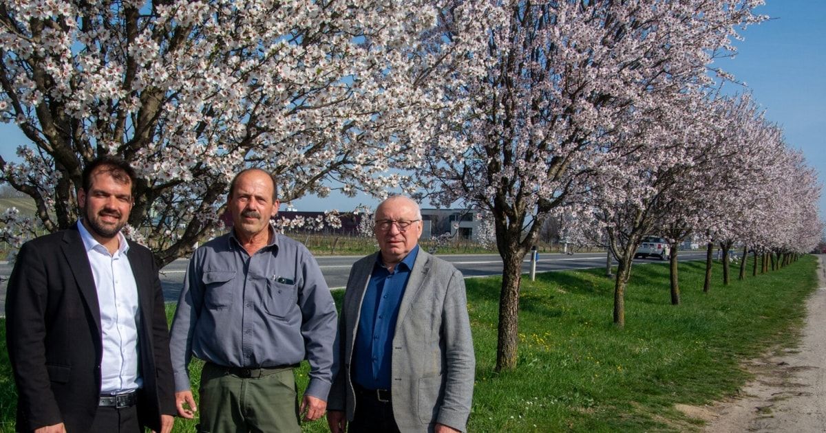 Zwei Männer stehen vor blühenden Bäumen, einer mit Brille, beide lässig gekleidet. Dahinter sind ein Gebäude und ein Auto zu sehen.