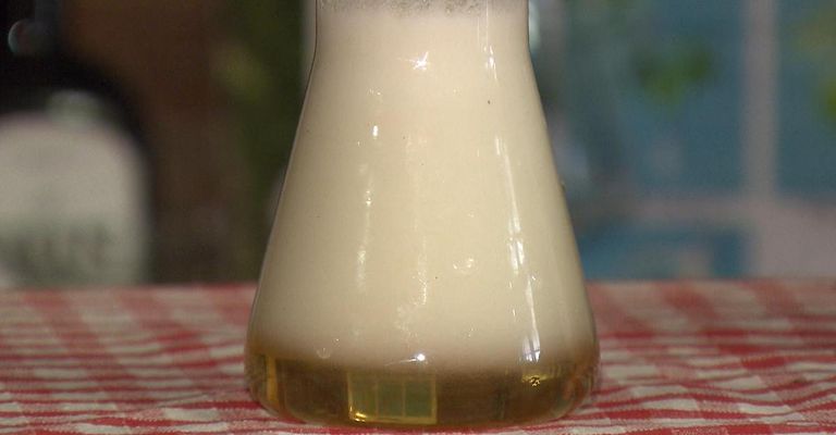 Ein konischer Kolben mit einer hellgelben Flüssigkeit auf einem rot-weiß karierten Tischtuch.