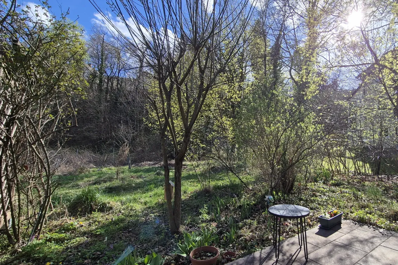 A backyard scene with a small table and potted plants. Trees and greenery surround the area. The sky is blue with some clouds.