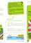 Das Infografik über Kompostierung bietet Tipps und Tricks. Frischer Kompost ist nach 2 bis 6 Monaten fertig und eignet sich am besten für ausgewachsene Pflanzen. Reiferer Kompost braucht 6 bis 12 Monate und ist für alle Pflanzen geeignet. Die Mischung von Kompost mit Sand und Erde ist ideal für Blumenbeete.