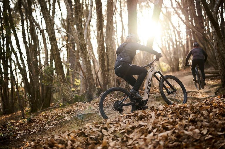 Two mountain bikers navigate a forest trail, surrounded by tall trees and fallen leaves. The rider in front wears a helmet and a black jacket.