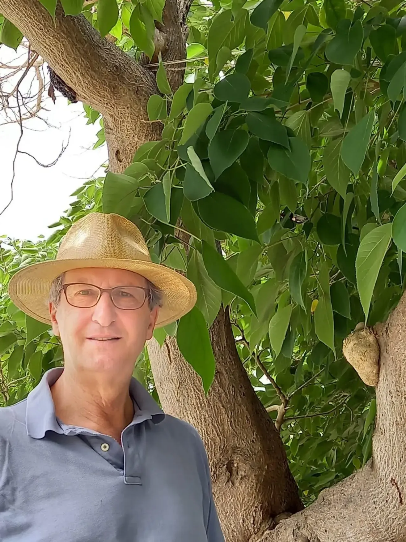 A man with glasses and a straw hat is standing under a tree with green leaves. He is smiling and seems to be posing for a photo.