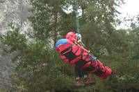 Eine Person in einem roten Gurt wird von einem Seil aus einem Baum abgelassen, mit einem Wald im Hintergrund.