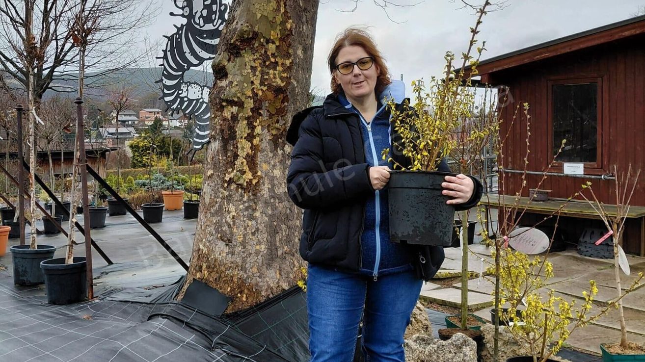 A woman in a jacket holds a potted plant outside in a garden area with trees and a wooden structure.
