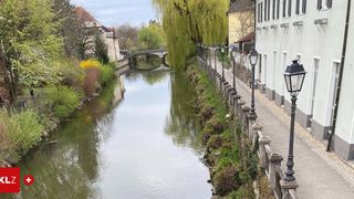 A river with a bridge in the distance, surrounded by green trees and bushes, and buildings along the side.